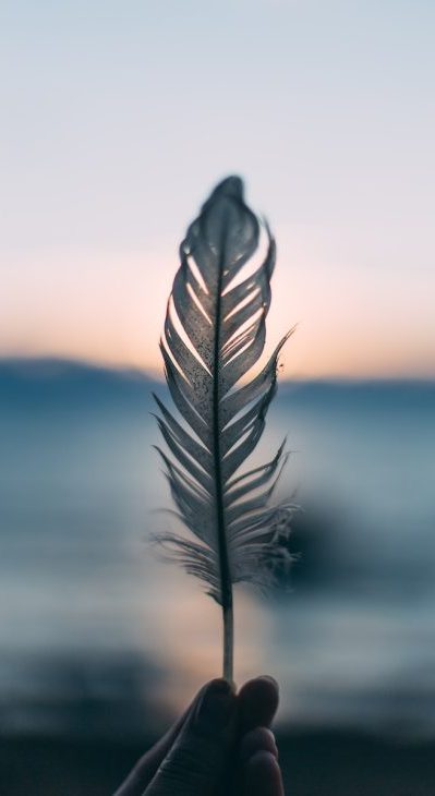 tilt shift lens photography of person holding white feather