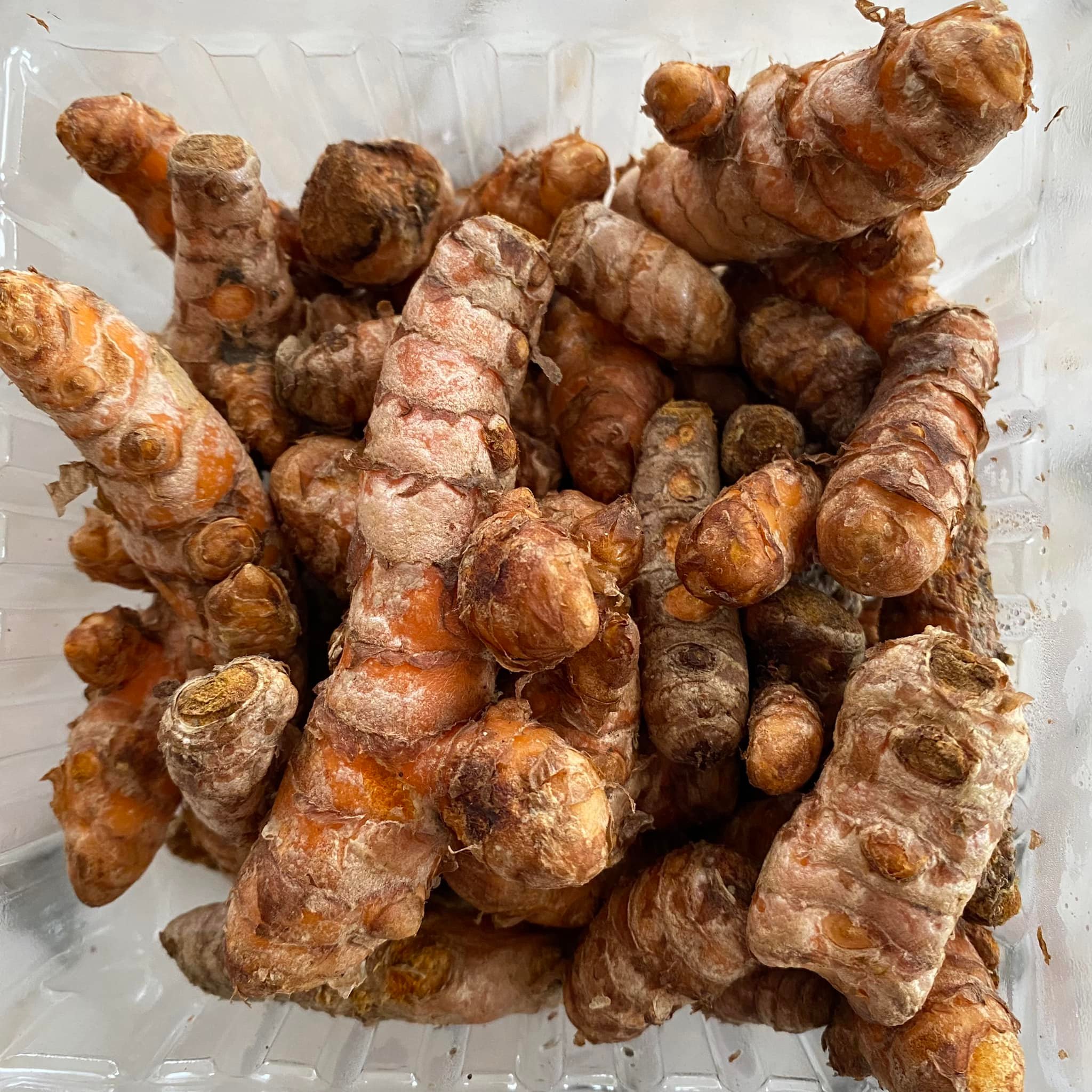 fresh turmeric root