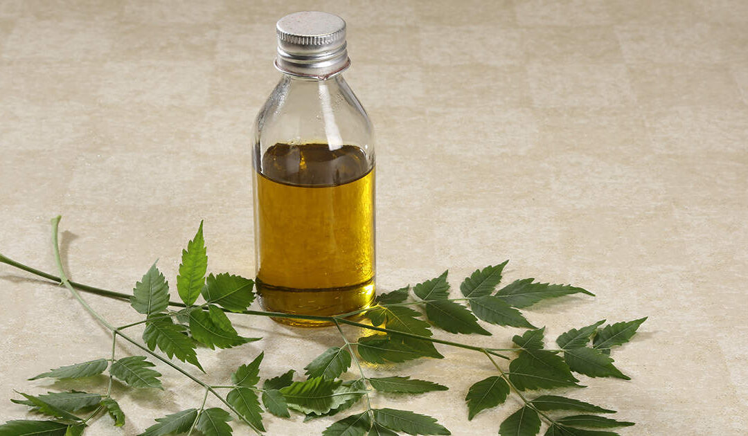 Neem Oil